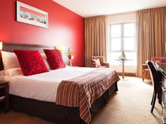 Zimmerbild 5