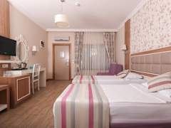 Zimmerbild 11