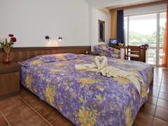 Zimmerbild 7