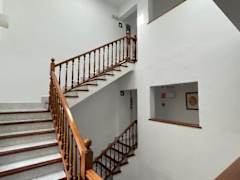 Zimmerbild 1
