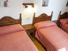 Zimmerbild 1