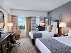 Zimmerbild 11