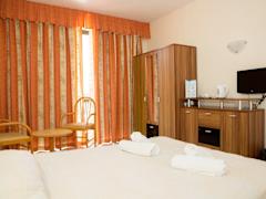 Zimmerbild 6
