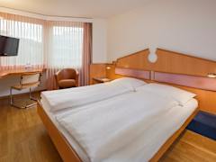 Zimmerbild 1