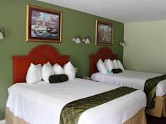 Zimmerbild 3