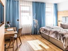 Zimmerbild 1