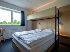 Zimmerbild 6