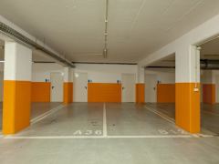 Zimmerbild 8