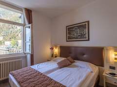 Zimmerbild 5