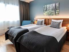 Zimmerbild 10