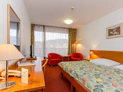 Zimmerbild 2