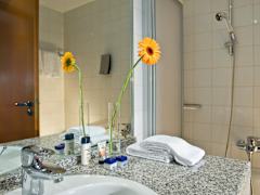 Zimmerbild 3