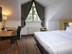 Zimmerbild 7