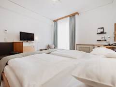 Zimmerbild 3