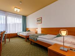 Zimmerbild 12