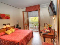 Zimmerbild 5