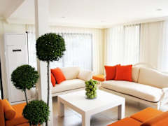 Zimmerbild 1