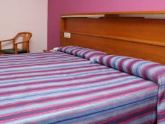 Zimmerbild 6