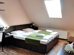 Zimmerbild 24
