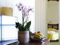 Zimmerbild 11