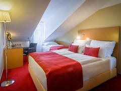 Zimmerbild 11