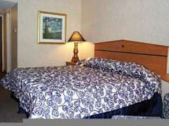Zimmerbild 22