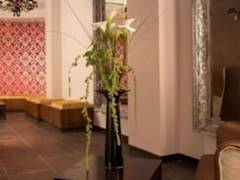 Zimmerbild 12