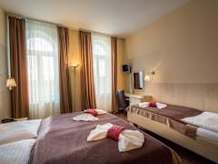 Zimmerbild 10