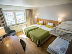 Zimmerbild 6