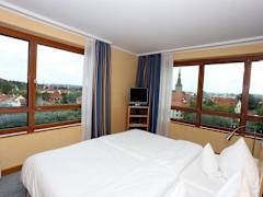 Zimmerbild 28