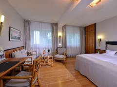 Zimmerbild 8