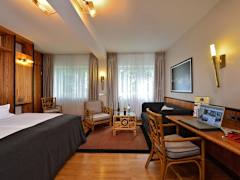 Zimmerbild 7
