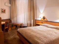Zimmerbild 8