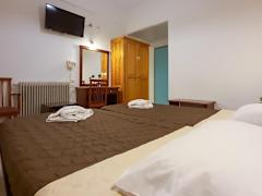 Zimmerbild 8