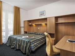 Zimmerbild 13