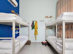 Zimmerbild 10