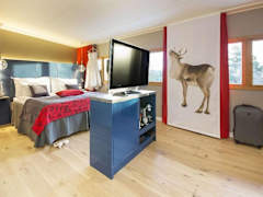 Zimmerbild 1