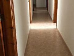 Zimmerbild 3