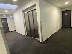 Zimmerbild 1