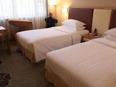Zimmerbild 3