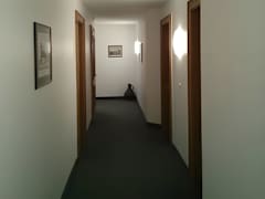 Zimmerbild 2