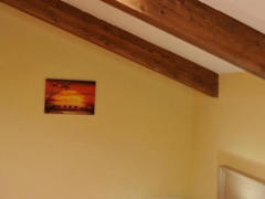 Zimmerbild 1