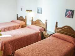 Zimmerbild 3