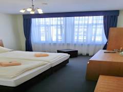 Zimmerbild 2