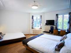 Zimmerbild 4