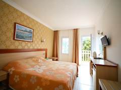 Zimmerbild 8