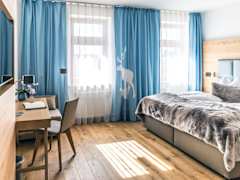 Zimmerbild 23