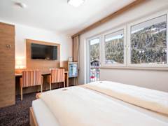 Zimmerbild 14