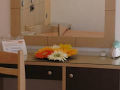 Zimmerbild 12
