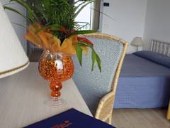 Zimmerbild 11